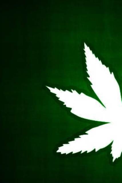 Flower - Sony PlayStation 3 (PS3) (1) video game collectible - Main Image 2