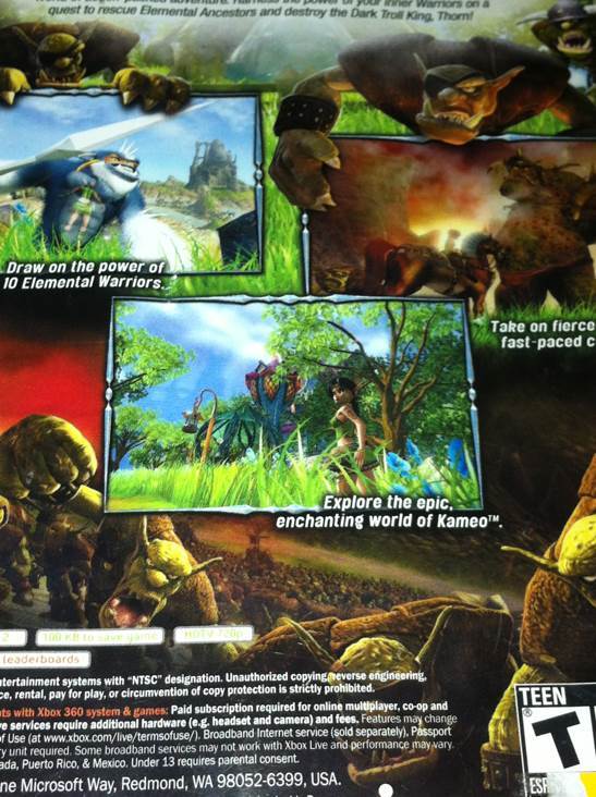 Kameo: Elements of Power - Microsoft Xbox 360 video game collectible - Main Image 2