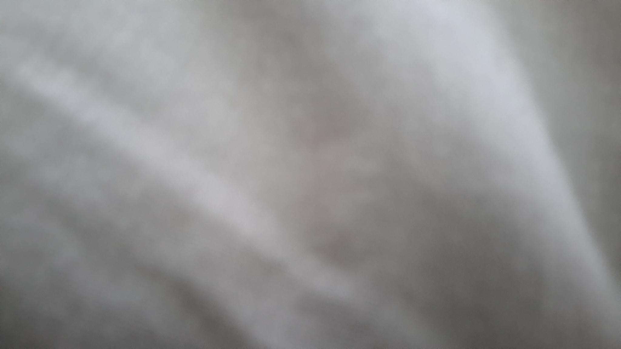 Image 1067344