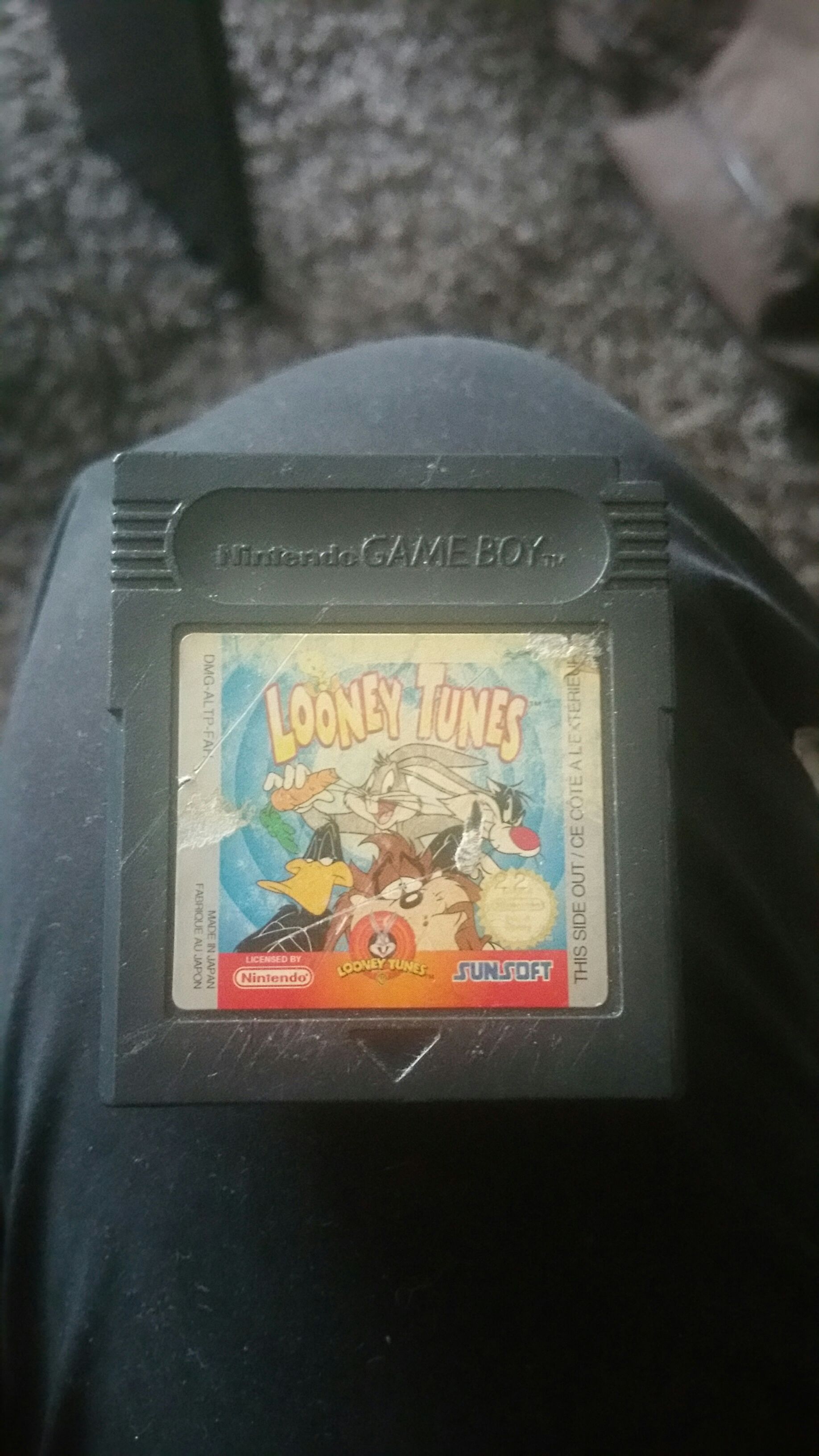 My Animal Centre In Africa