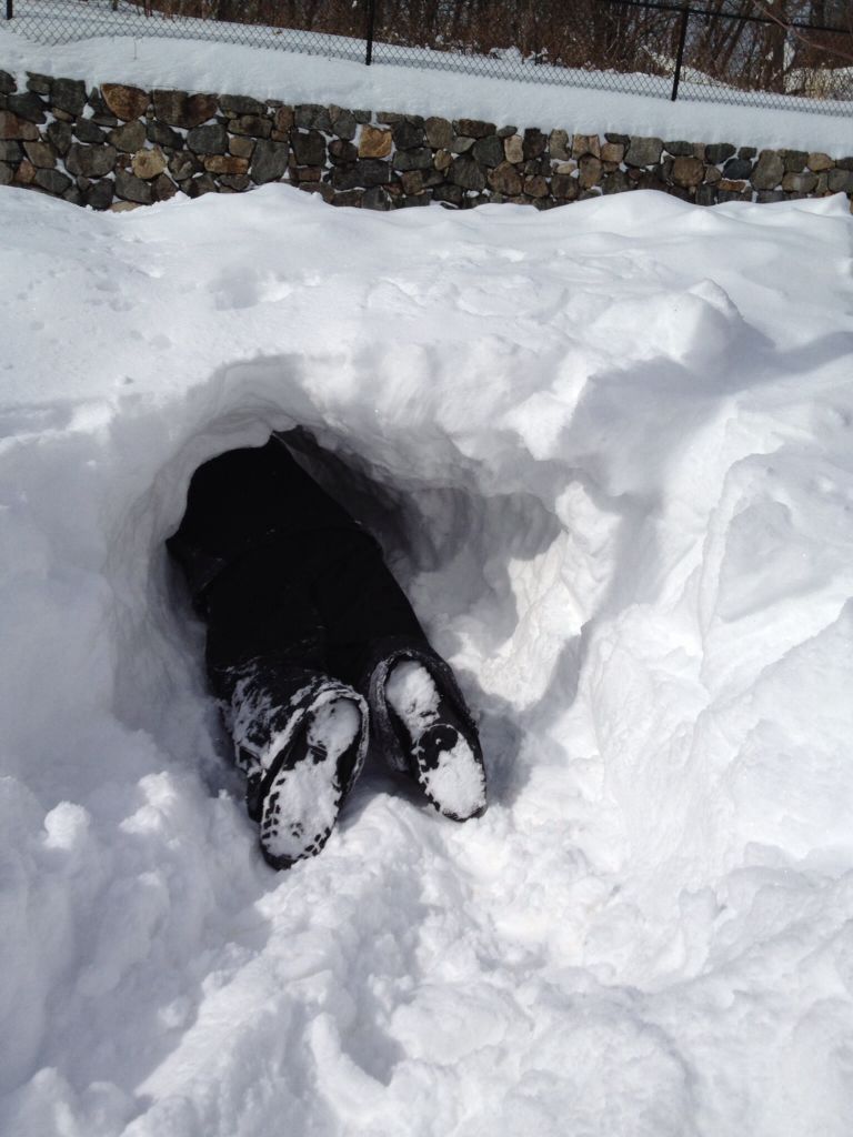 Image 1092473