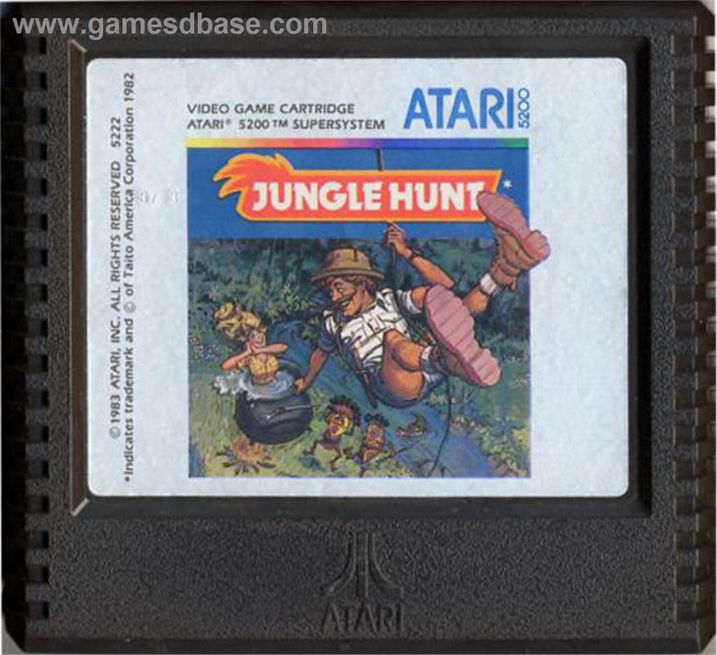 Shadowgrounds: Survivor