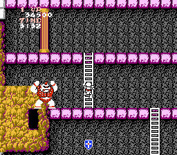 Ghosts ’n Goblins - Nintendo Entertainment System (NES) (Capcom - 2) video game collectible [Barcode 400000384047] - Main Image 4