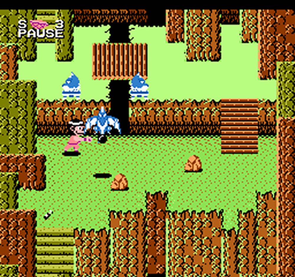 Dragon Power - Nintendo Entertainment System (NES) (Bandai - 1) video game collectible - Main Image 4