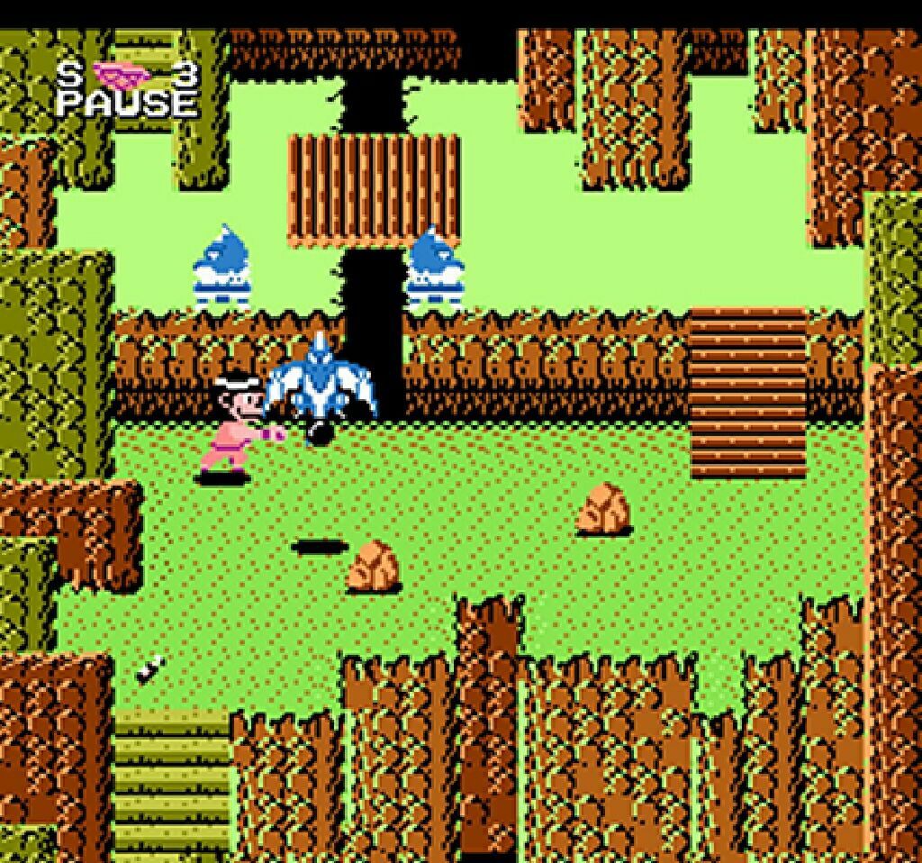 Dragon Power - Nintendo Entertainment System (NES) video game collectible - Main Image 2