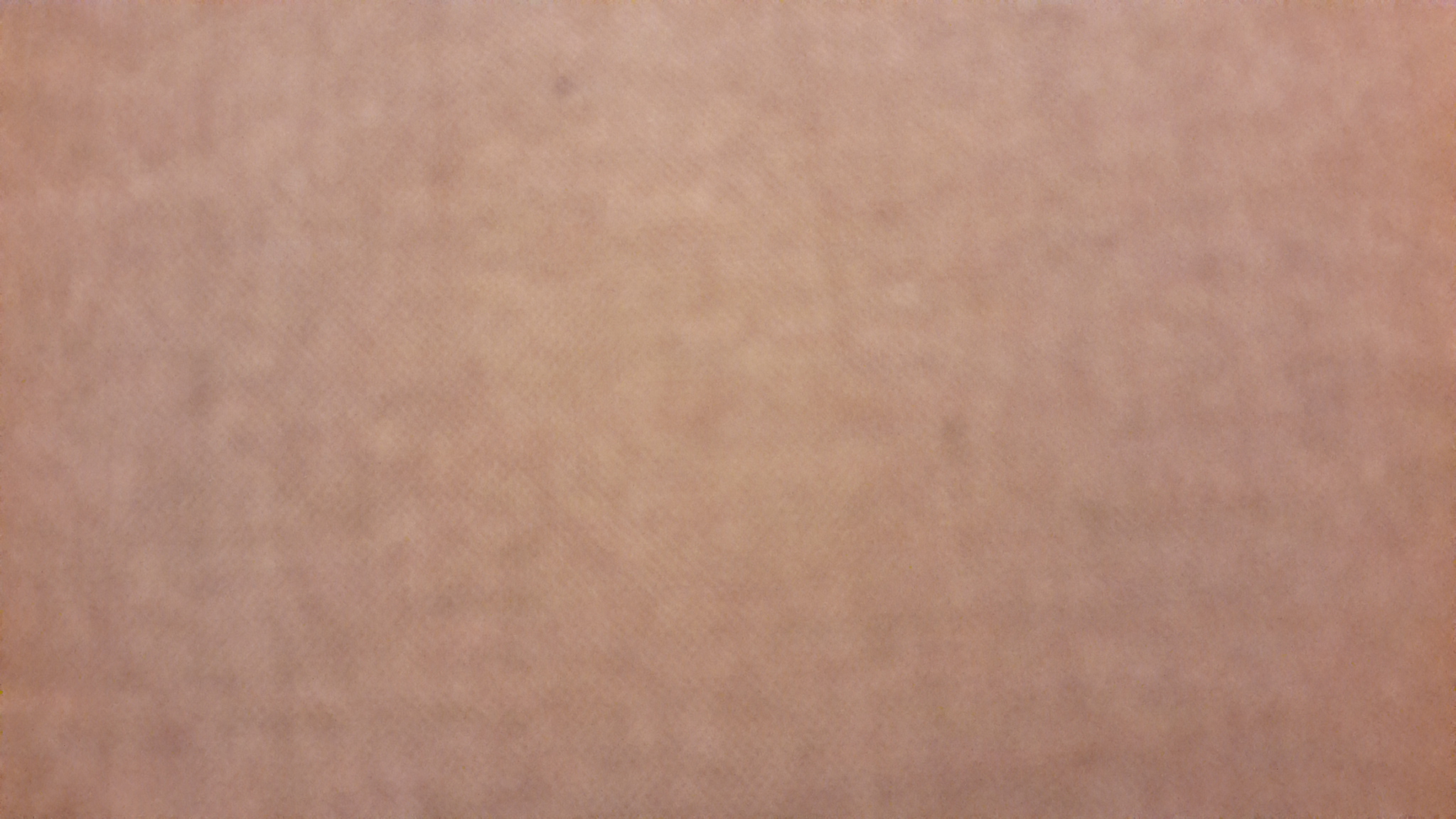 Scarface The World Is Yours