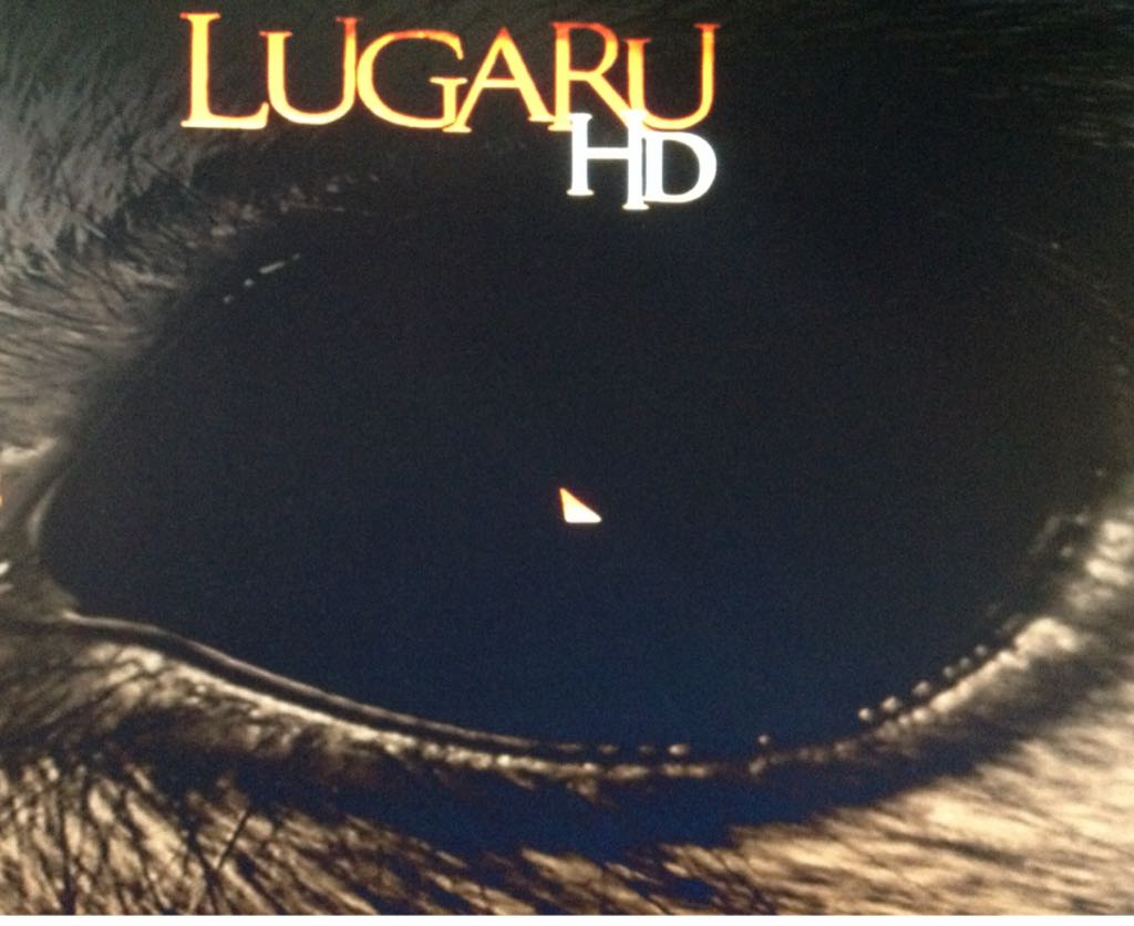 Rayman: Raving Rabbids