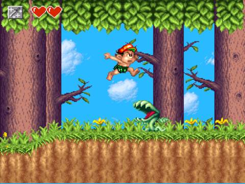 Super Adventure Island II - Nintendo Super Nintendo Entertainment System (SNES) video game collectible - Main Image 2