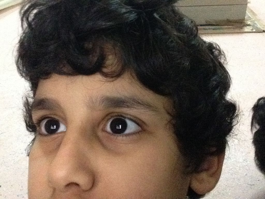 Tony Hawk’s: Project 8