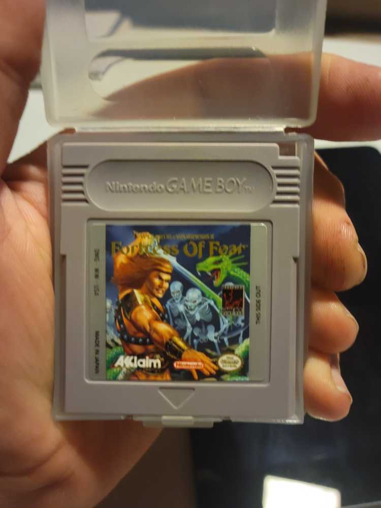 Fortress Of Fear - Nintendo Game Boy (Acclaim Enternainment - 1) video game collectible - Main Image 3