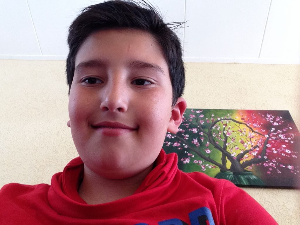 Legend Of Zelda: Ocarina Of Time 3D, The