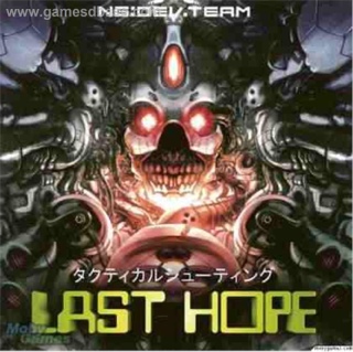 Nintendo DS Web Browser