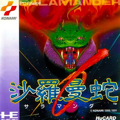 UFC Personal Trainer