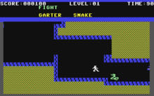 Gateway to Apshai - Colecovision (Epyx) video game collectible - Main Image 3
