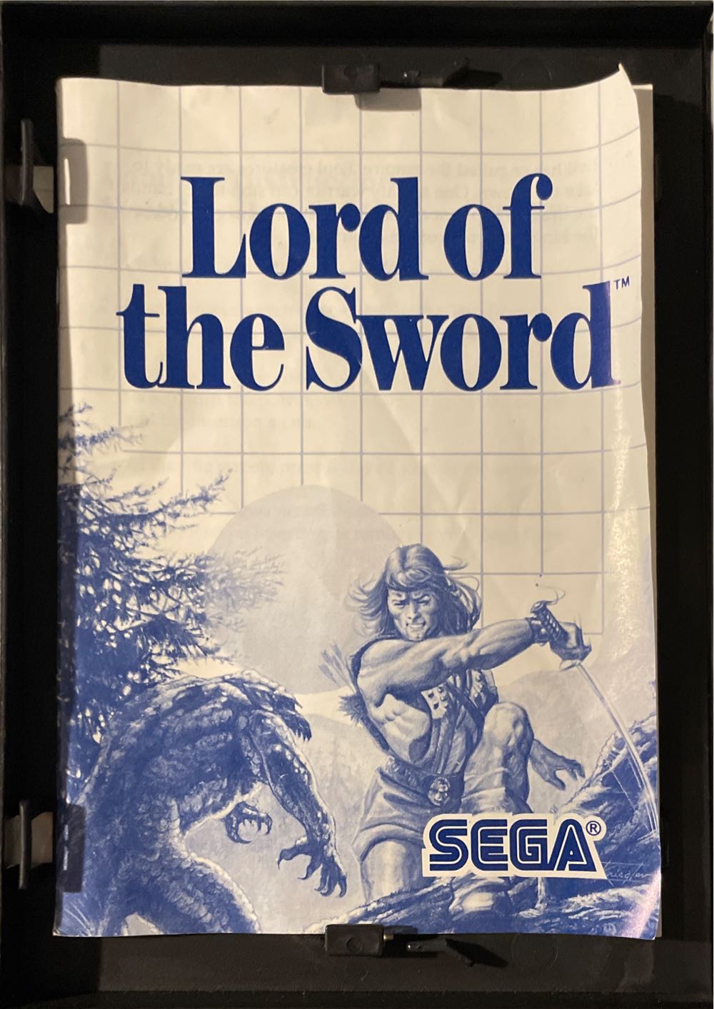 Lord Of The Sword - Sega Master System (Sega - 1) video game collectible [Barcode 010086070163] - Main Image 3
