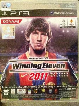 Maui Mallard in Cold Shadow