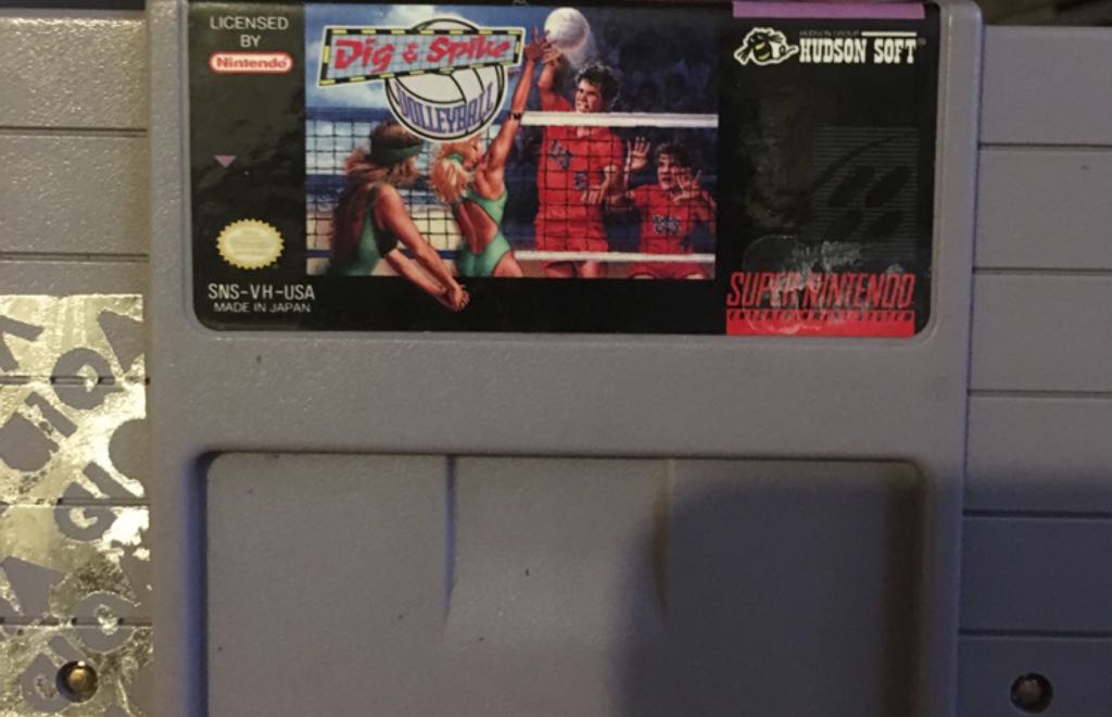 Dig & Spike Volleyball