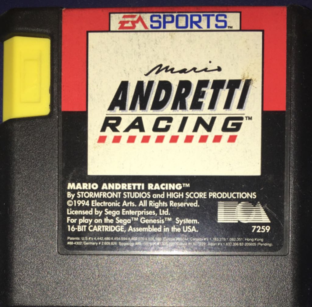 Maui Mallard in Cold Shadow