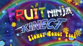Fruit Ninja Kinect - Microsoft Xbox 360 video game collectible - Main Image 2