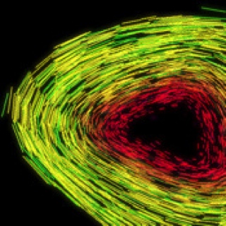 007 : quantum of solace