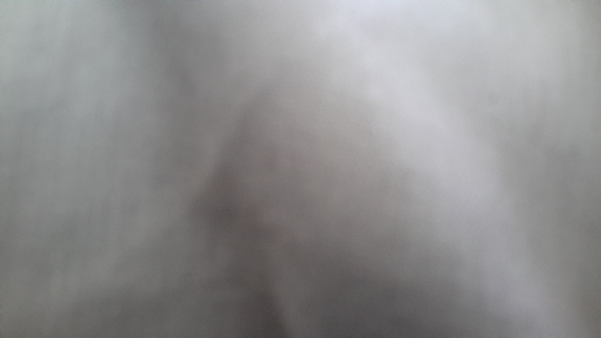 Image 1166361