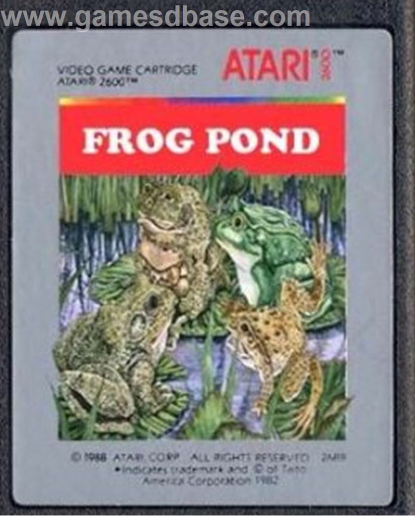 The New Zealand Story