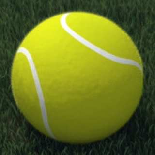 Touch Tennis: FS5 - Apple iOS (FlipSide5) video game collectible - Main Image 1