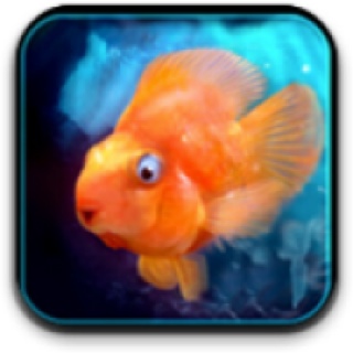 R-Type III - The Third Lightning