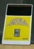 Double Dungeons - NEC TurboGrafx-16 video game collectible - Main Image 2