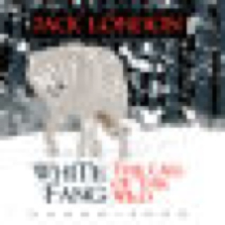 Jack London Beamitdown - Apple iOS video game collectible - Main Image 1
