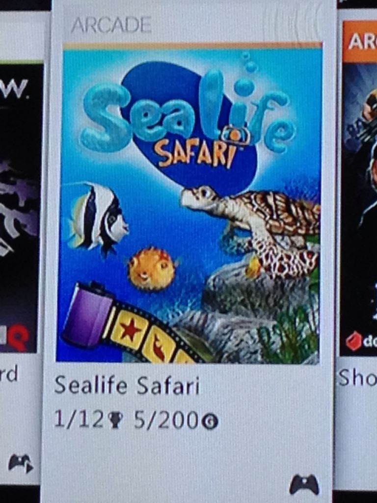 T&C Surf Designs: Thrilla’s Surfari