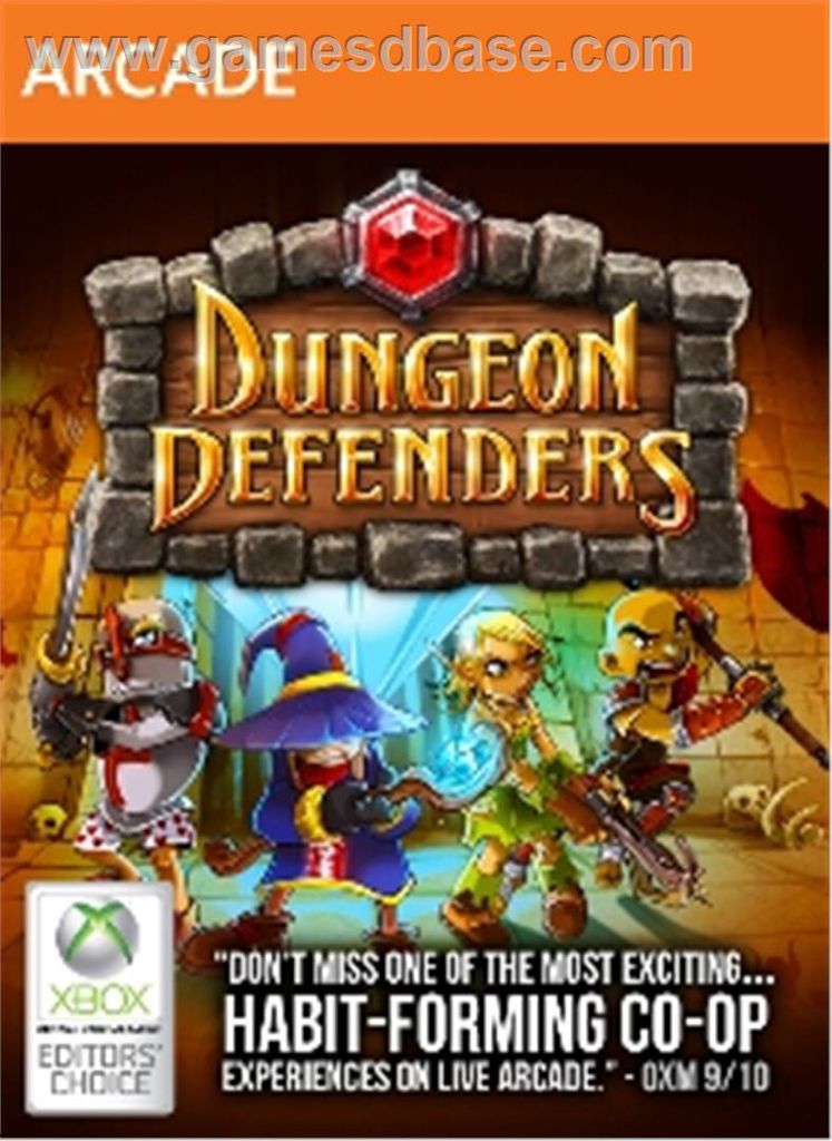 Dungeon Defenders - Microsoft Xbox Live Arcade (XBLA) video game collectible - Main Image 1