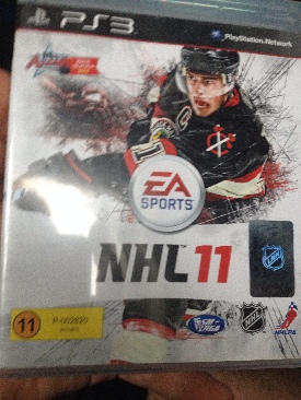 International Cricket Captain 2006