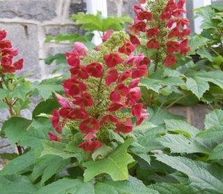 Tony Hawk’s Underground 2