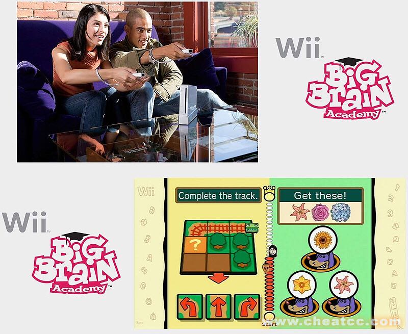 Big Brain Academy - Nintendo Wii (Nintendo - 8) video game collectible [Barcode 045496900175] - Main Image 4