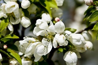 Tom Clancy’s Ghost Recon 2