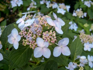 3DS / Blazblue Continuum Shift II