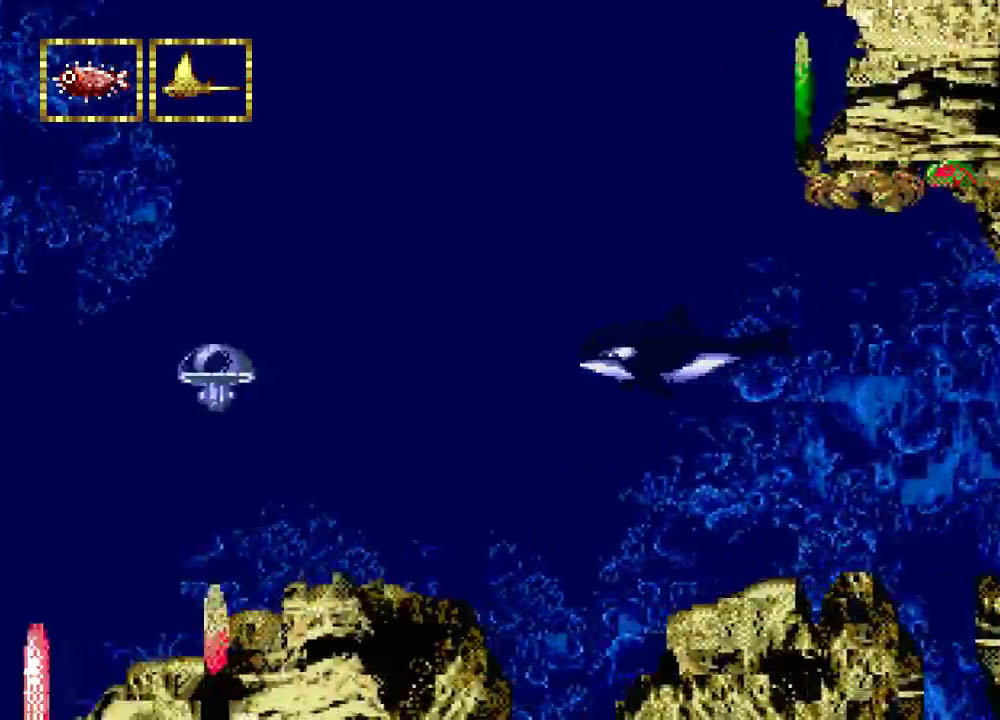 Ecco Jr - Sega Mega Drive (Sega - 1) video game collectible [Barcode 9312544031053] - Main Image 3