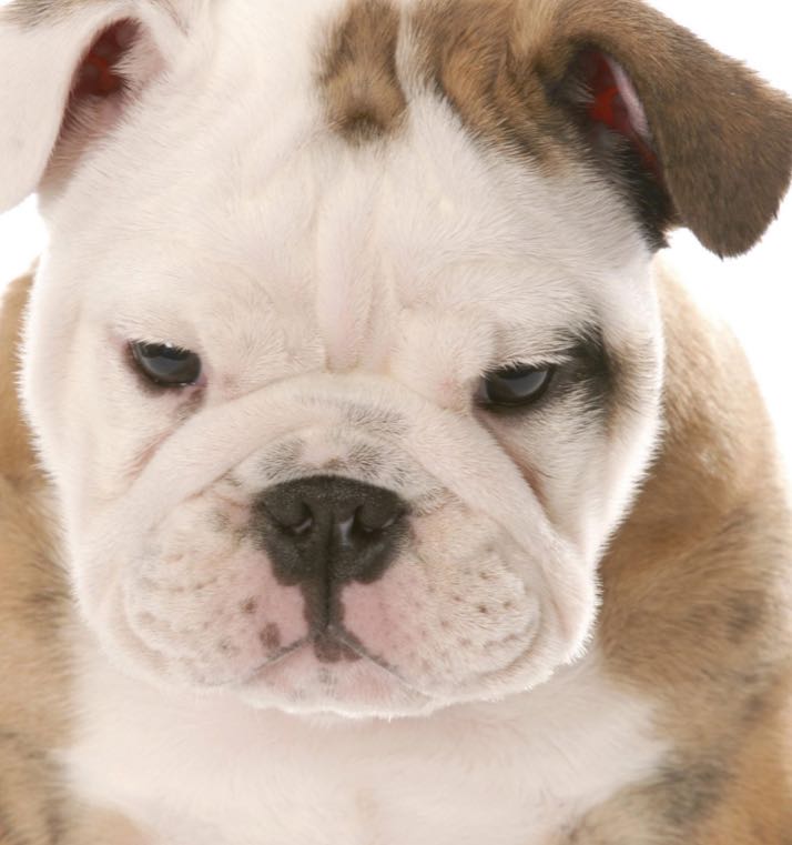 Youtube - Microsoft Xbox Live video game collectible - Main Image 2