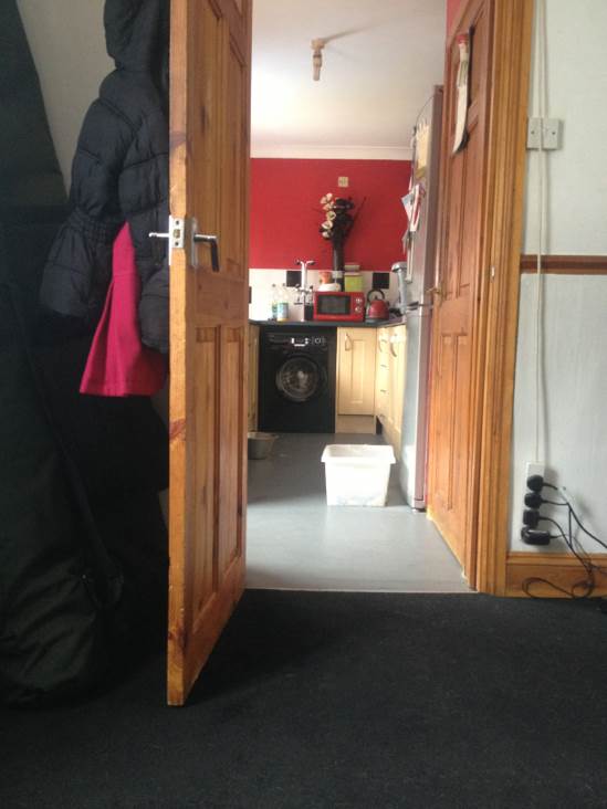 Mario - Nintendo Wii video game collectible - Main Image 2