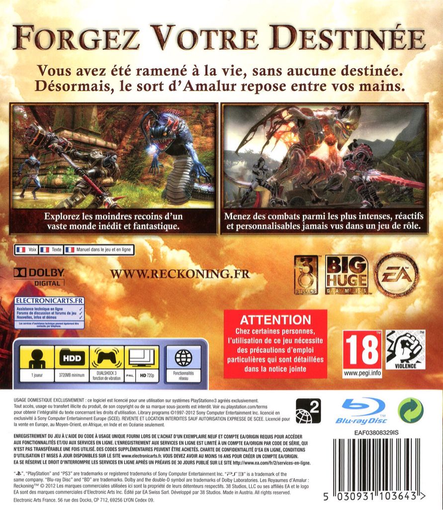 Les Royaumes D’Amalur : Reckoning - Microsoft Xbox 360 (Electronic Arts - 1) video game collectible [Barcode 5030931103773] - Main Image 2