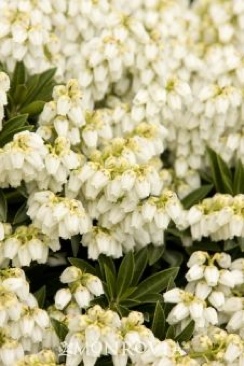 Lego Star Wars: The Complete Saga