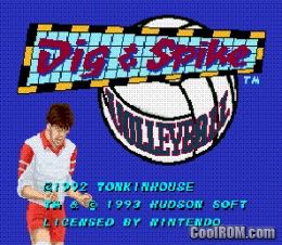 Dig And Spike Volleyball - Nintendo Super Nintendo Entertainment System (SNES) video game collectible - Main Image 2
