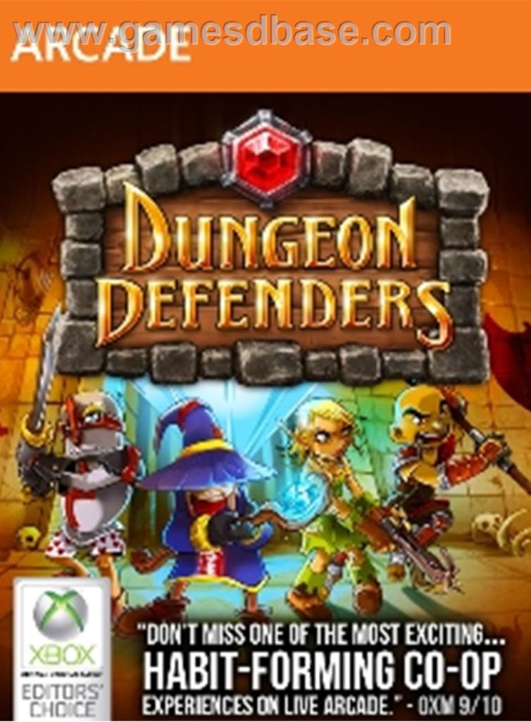 Dungeons Defenders - Microsoft Xbox Live video game collectible - Main Image 1