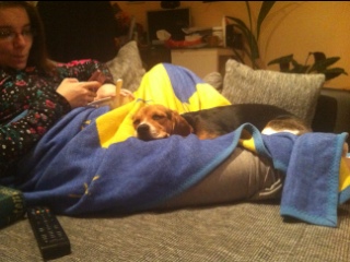 3DS: Mario Tennis Open