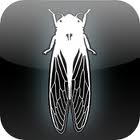 Prince of Persia I Due Troni