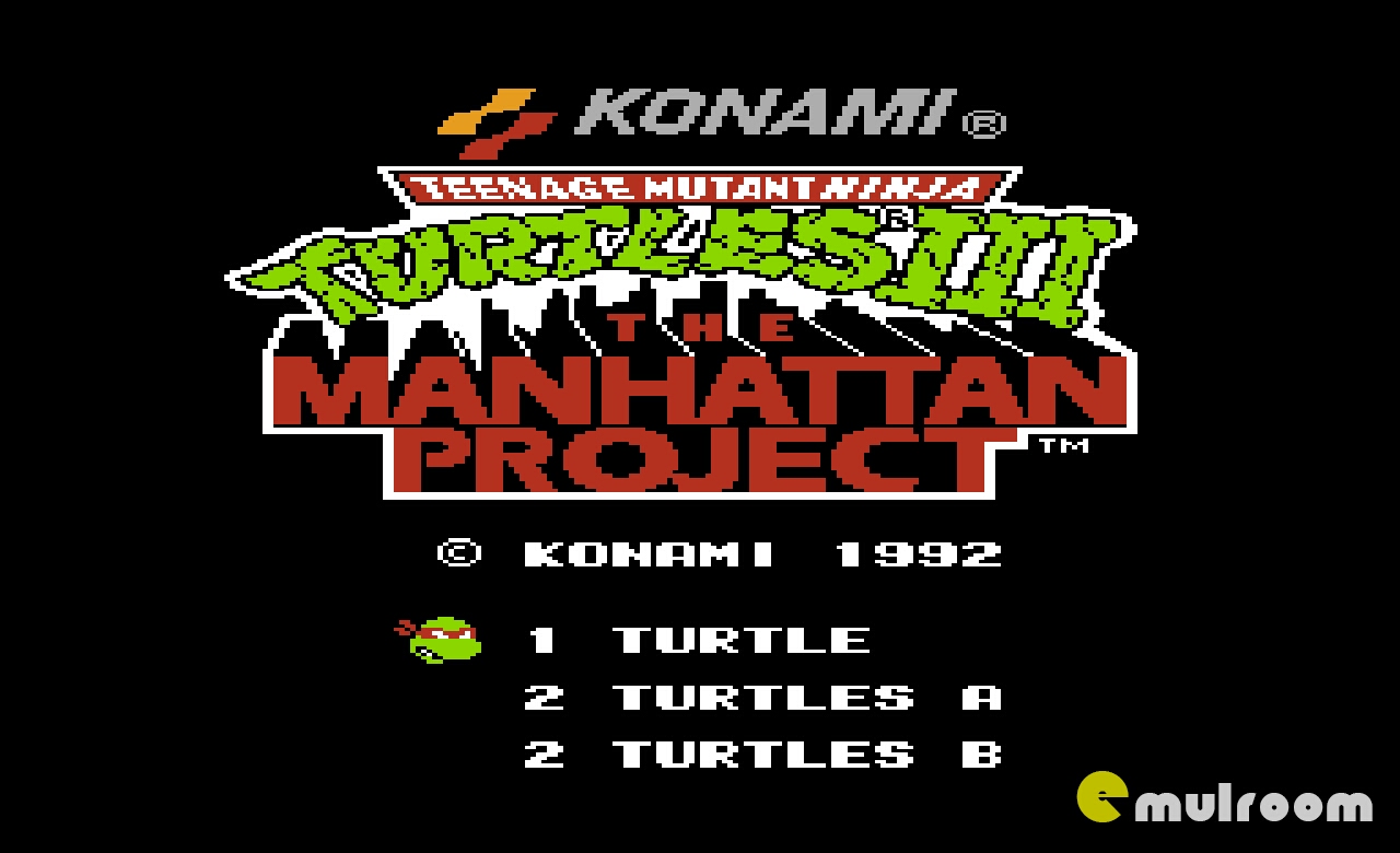 Teenage Mutant Ninja Turtles: The Manhattan Project  video game collectible - Main Image 1