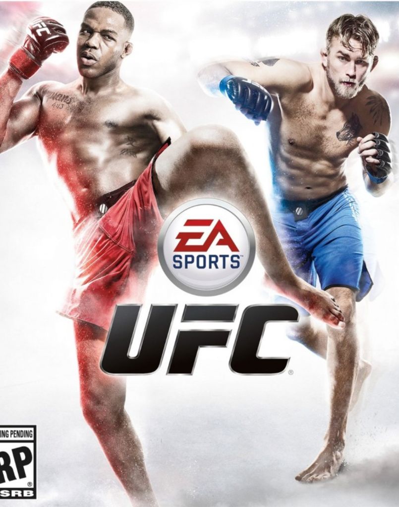 Tekken Tag Tournament 2