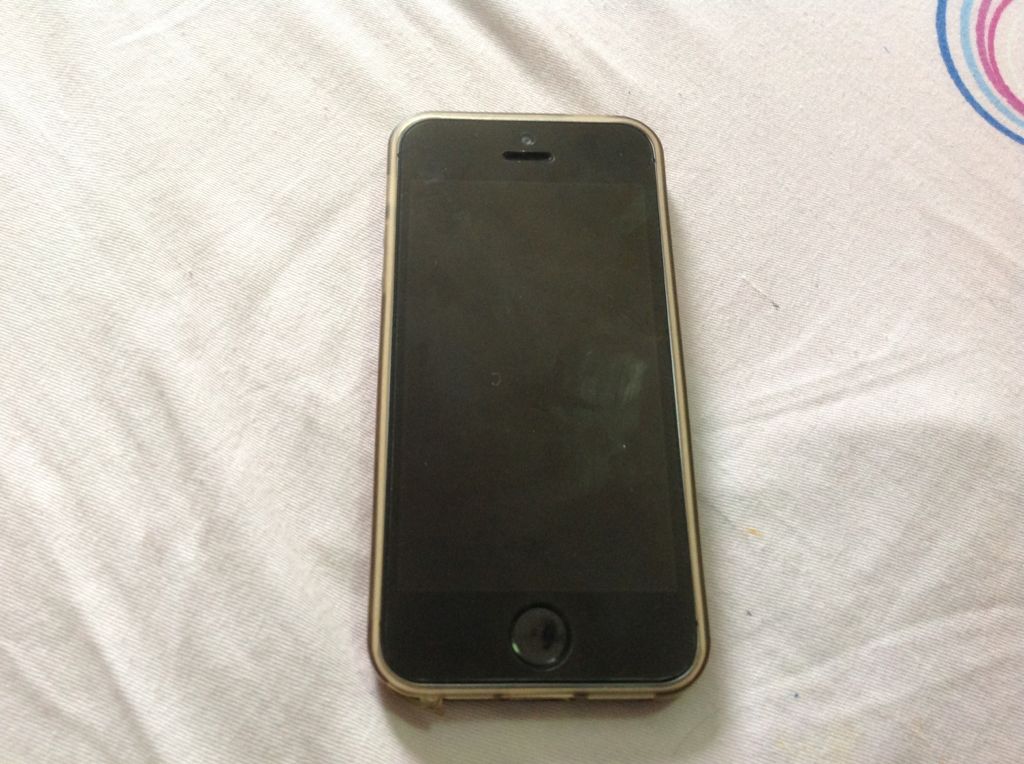 Iphone - Nintendo DS video game collectible [Barcode 4806789010058] - Main Image 1