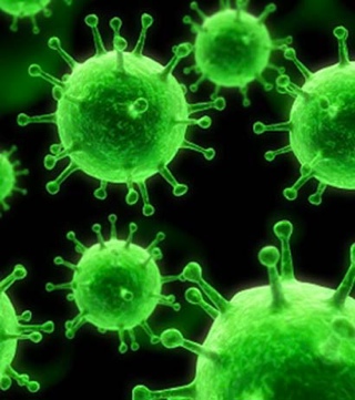 Test Drive: Ferrari Racing Legends